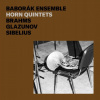 Baborák Ensemble: Brahms, Glazunov, Sibelius: Horn Quin - CD
