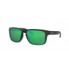 Oakley OO9102 HOLBROOK 9102-E4