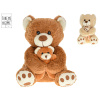 Mikro trading Take Me Home - Medvěd plyšový s mládětem - 25 cm - sedící