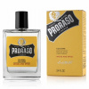 Proraso Wood and Spice balzam po holení 100 ml