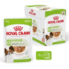ROY ROYAL CANIN Adult xs-small - vlhké krmivo pre psov - 12 x 85g