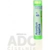 Aconitum Napellus gra.1 x 4 g 5CH