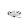 RABALUX Athen 3723 stropné svietidlo E27 3x MAX 60W