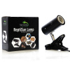 Terrario ReptiSun lampa s klipom