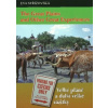 The Great Plains and Other Great Experiences Velké pláně a další velké zážitky - Střížovská Eva