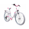 Mestsky bicykel - Pánsky bicykel Avalon Cargo, 28 