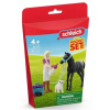 SCHLEICH Horse Club Sada na starostlivosť o žriebä a Sofiu 42755