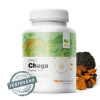 Mycomedica Chaga PRO 90 kapsúl