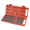 Extol Premium 8818202 | Sada bitov 10 mm, HEx-TORx-xZN - 40-dielna