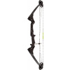 Kladkový luk Booster Blast RH 10-20# / 20