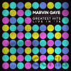 Marvin Gaye: Greatest Hits Live In '76 LP - Marvin Gaye