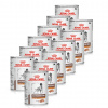 Royal Canin VHN Gastrointestinal 12 x 420 g