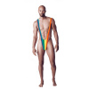 Pánské plavky Borat Mankini, Duhové