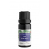 Nobilis Tilia Éterický olej bio Borovica: 10 ml