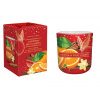 BARTEK Christmas Fruit Garden Orange with Spice 150 g – sviečka v skle