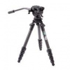 3 LEGGED THING LEGENDS JAY & AIRHED CINE ARCA DARK