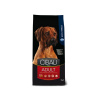 Farmina MO SP CIBAU dog adult maxi 12 kg