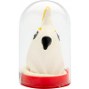 Condomerie handpainted novelty condoms parrot white