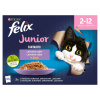 Felix vrecko (12x85g/kra) junior fantasti