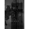 Hlasy - Jan Polkowski
