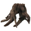 HOBBY Back Wall Root 1, 21x11x14 cm koreň
