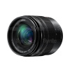 Panasonic LUMIX G VARIO 12-60mm/F3,5-5,6 POWER O.I.S. 3877