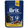 BRIT Premium cat Kapsička Adult Chicken & Turkey 100 g