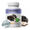 Mycomedica Polyporus Extract 30% Vegan 90 kapsúl