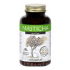 MASTICHA ACTIVE - Apothecary cps 1x100 ks