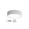 Temar CLEO 300 IP54 WITH MOTION SENSOR GREY
