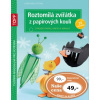 TOPP Roztomilá zvířátka z papírových koulí z proužků papíru drátků a korálků - Steffan Christiane