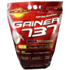 Megabol gainer 737 3000 g