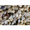 Olibetta Gravel Beige 4-7 mm - 15 kg
