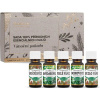Saloos Vianočná pohoda sada vonné oleje 5 x 10 ml