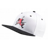 Nike Jordan Pro Jumpman Classics Cap (Nike Jordan Pro Jumpman Classics Cap)