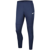 Nike Tepláky/Vrchné oblečenie Dri-FIT Park 20 Knit Pants Modrá