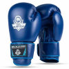 Boxerské rukavice DBX BUSHIDO ARB-407-Blue 12oz