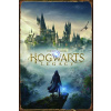 Ozdobná tabuľa Plech 20x30 cm Hogwarts Legacy Harry Potter Retro Vintage
