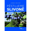 Pěstujeme slivoně - Jan Blažek, Václav Kneifl