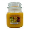 Yankee Candle Tropical Starfruit Medium Jar 411 g