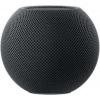 Apple HomePod mini Space Gray MY5G2D/A - Smart home reproduktor