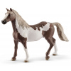 SCHLEICH Horse Club® 13885 Americký Paint Horse - valach (13885)
