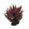 Repti Planet Agave červená 18 cm