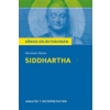 Siddhartha von Hermann Hesse