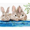 ZUTY Maľovanie podľa čísel KRÁLIKY PRI PLOTE Rámovanie bez rámu a bez vypnutia plátna Rozmer 80x100 cm