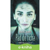E-kniha Pád do ticha - Martina Jakubová
