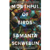 Mouthful of Birds - Samanta Schweblin
