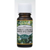 Saloos Esenciální olej - Meduňka s Citronellou 10 ml