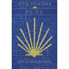 Púte: Cesty za zmyslom života - Peter Stanford