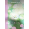 Osvícení na cestu - Michie David